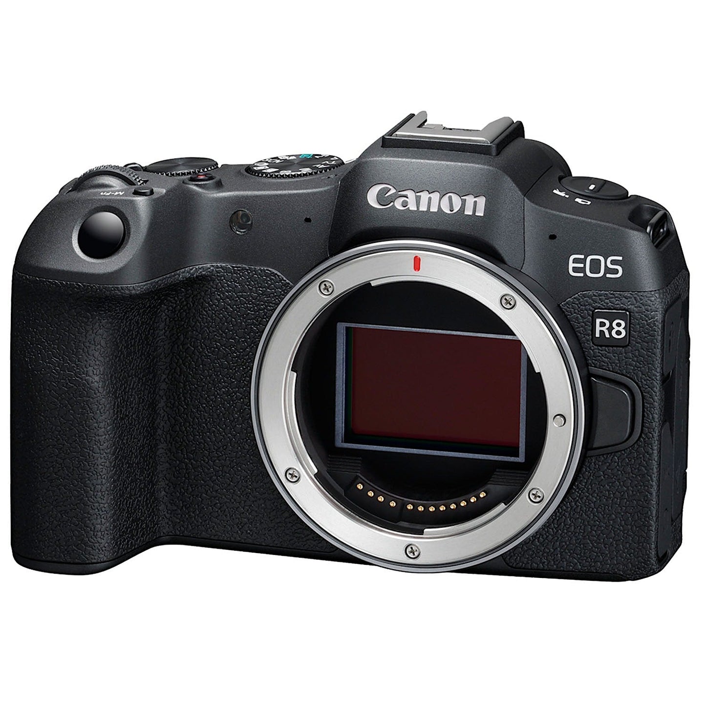 Canon EOS R8 w/ 24-50mm - 1365753