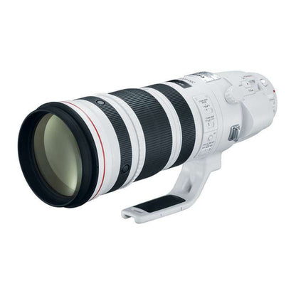 Canon 200-400mm f4.0L IS - 1867