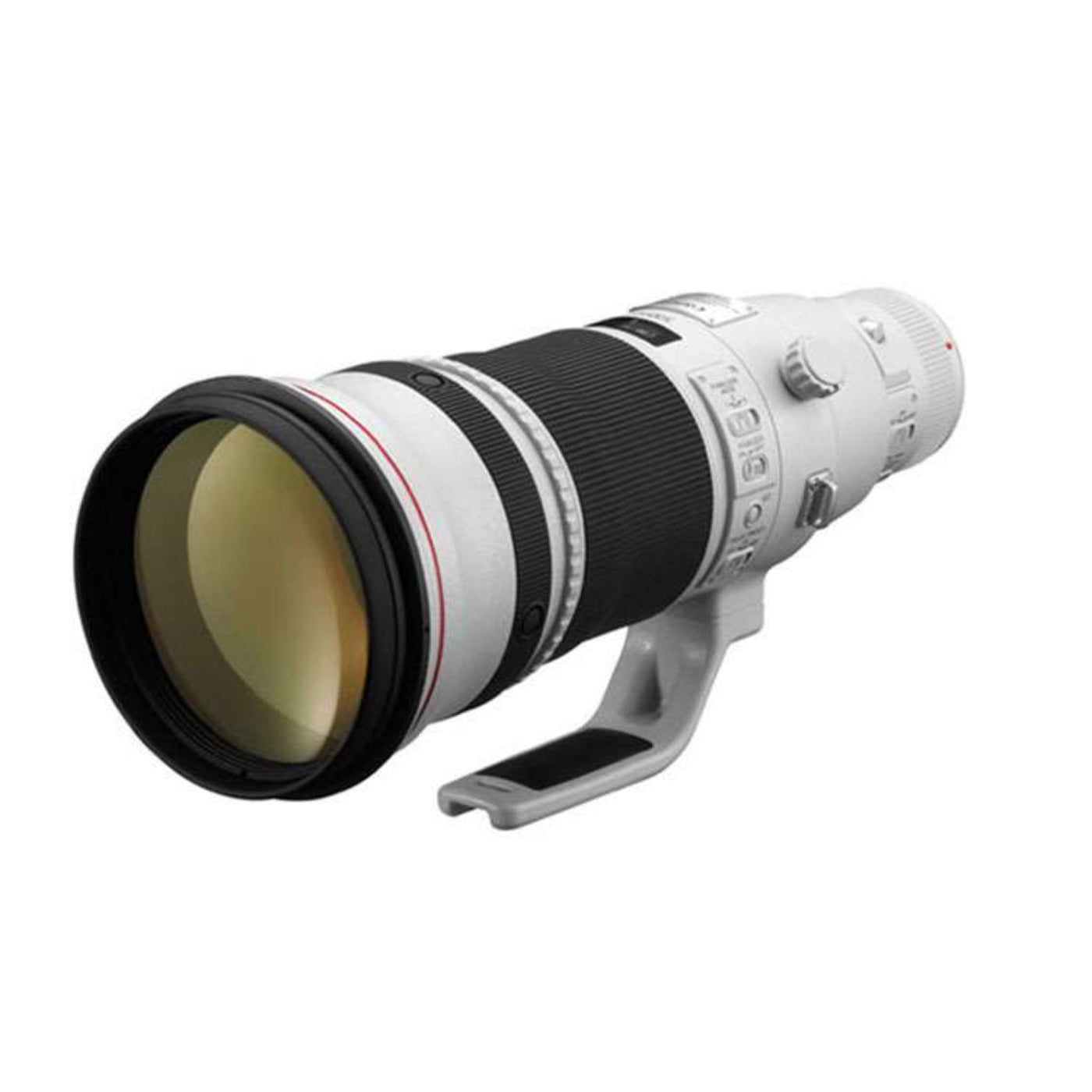 Canon 500mm f4.0L IS II - 1901