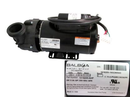 MASTER SPAS Pump, 12a 2sp 230v 56fr - X320528