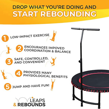 LEAPS & REBOUNDS 48" Adjustable Stability Bar with 48" Fitness Trampoline, Blue - 318052