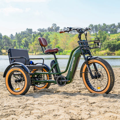 Addmotor 750W 48V Greattan L Trike Fat Tire Electric Bike - EB-ADD-GTL-NBL