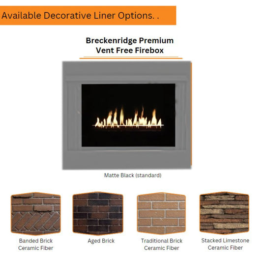 Empire Breckenridge Premium 32" Vent Free Firebox | Flush Front - VFP32FB0F