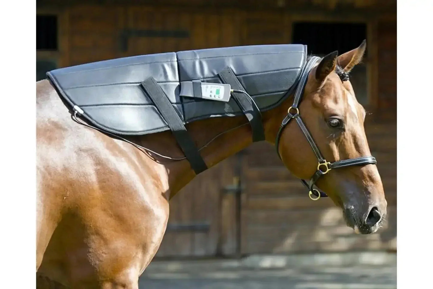 Oxford Medical Instruments OMI PEMF Full Equine Package: Blanket, Shoulder Band, Neck Wrap, Rear Leg Wrap, Front Leg Wrap - PEMF-HPK