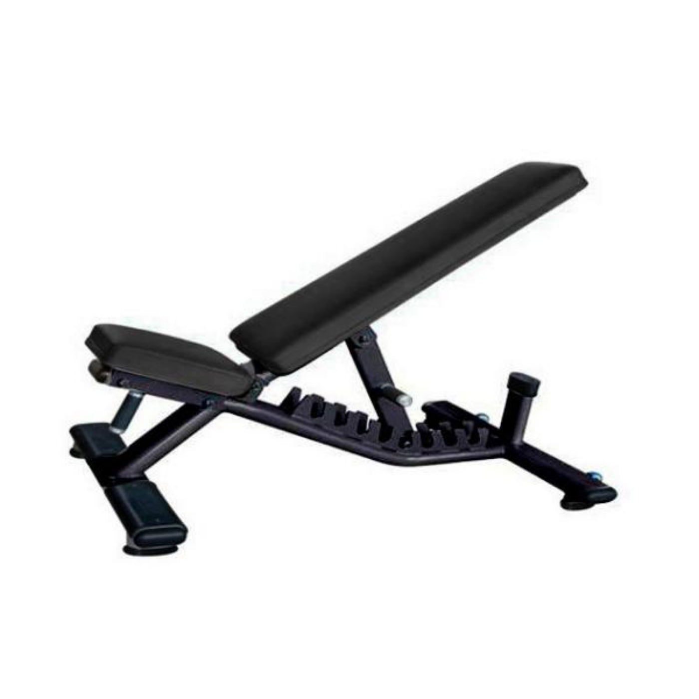 Muscle D Flat to Incline Bench  - FW-FIB-B