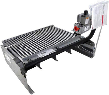Raypak 406A Burner Tray with Natural Gas Valve, IID  - 010410F