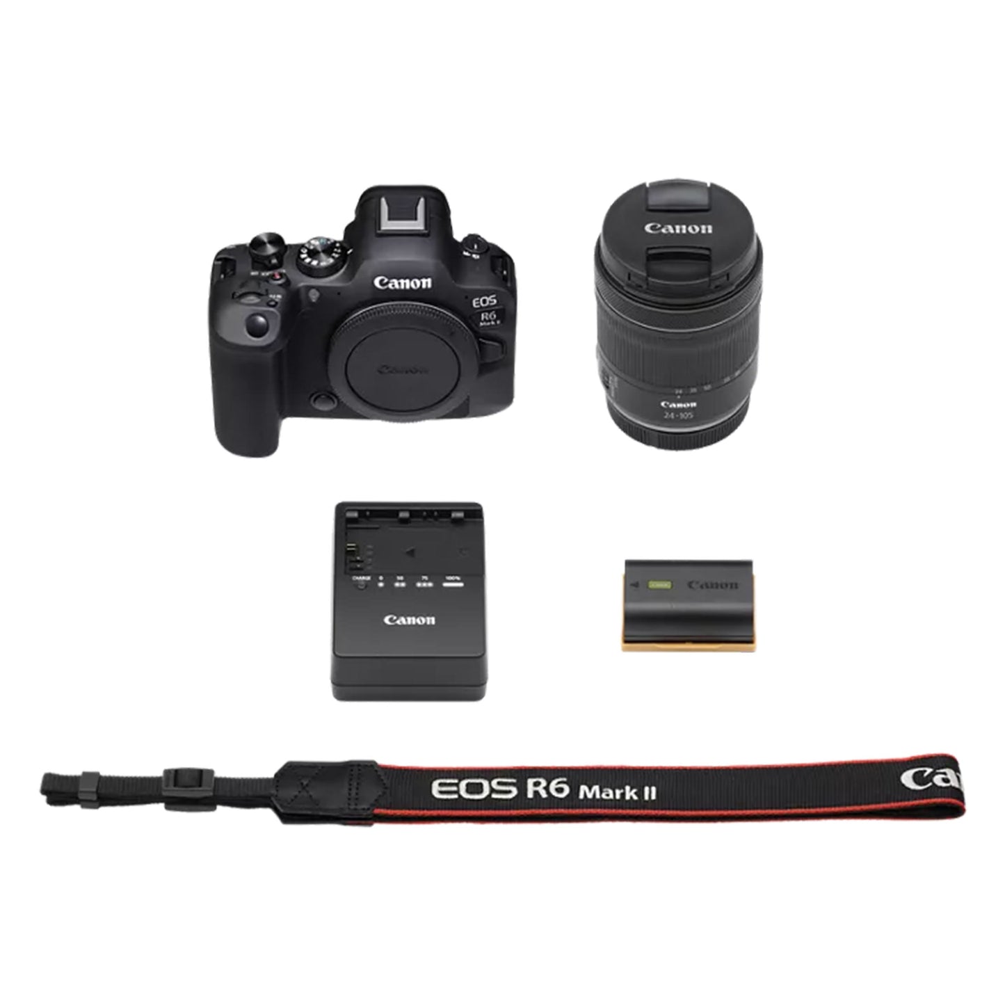 Canon R6 Mark II Body - 1313041