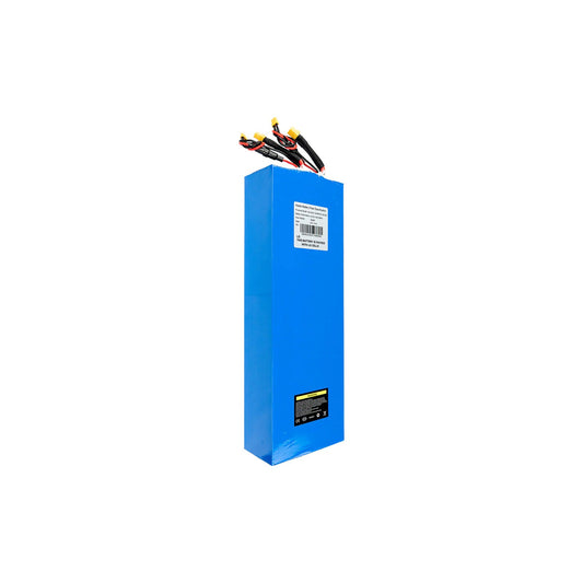 Kaabo Warrior X Plus 60V 21Ah Battery - 03.D.08018