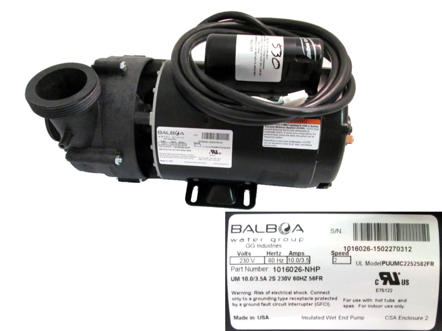 MASTER SPAS Pump, 10a 2sp 230v 56fr - X320530