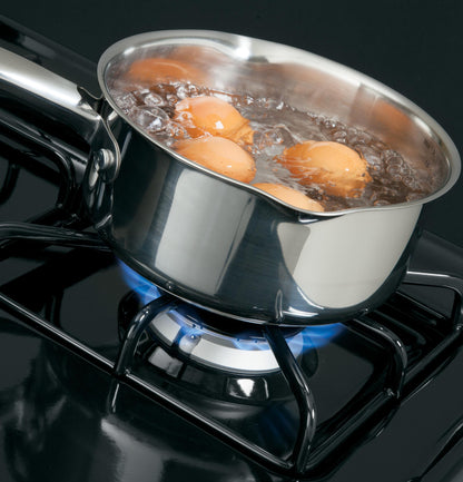 HOTPOINT Hotpoint 30" Free-Standing Standard Clean Gas Range Black - RGBS400DMBB