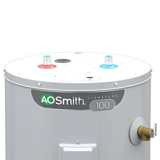 A.O. Smith  Signature 100 40-Gallon Tall 4500-Watt Double Element Electric Water Heater -Item #816154 | Model #E6-40H45DV