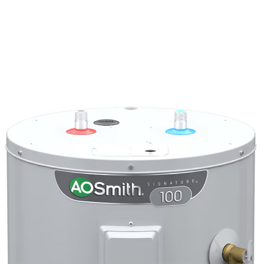 A.O. Smith Signature 100 50-Gallons Short 4500-Watt Double Element Electric Water Heater - Item #816161 | Model #E6-50R45DV