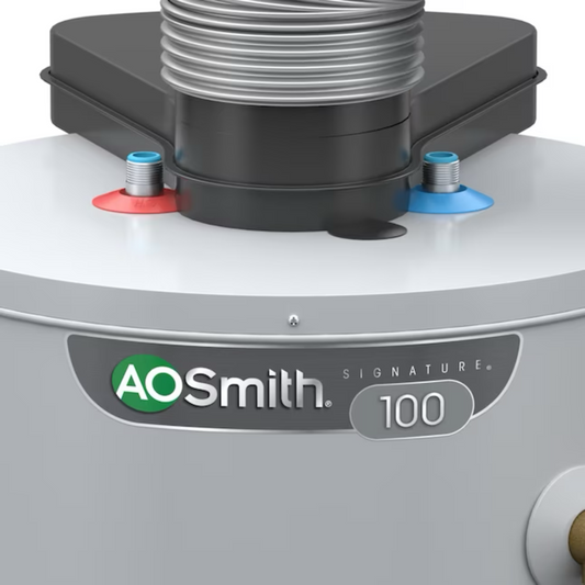 A.O. Smith Signature 100 50-Gallon Tall 6-year Warranty 40000-BTU Direct Vent Natural Gas Water Heater - G6-DVT5040NV