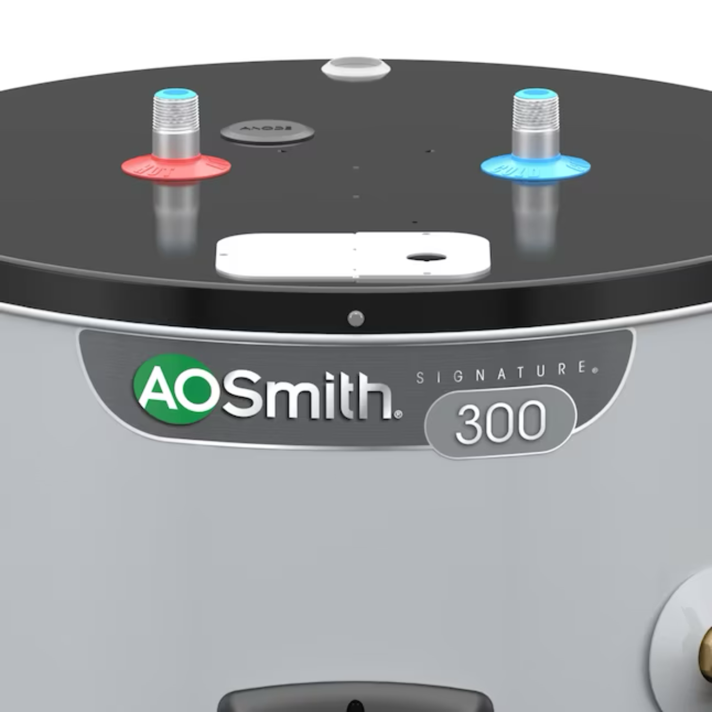 A.O. Smith Signature 300 50-Gallons Short  5500-watt Double Element Smart Electric Water Heater with Leak Detection - Item #3806370 | Model #EE9-50R55DV