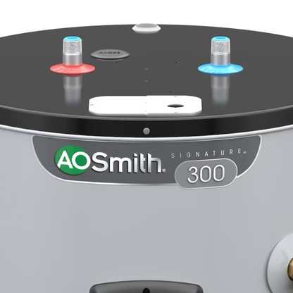 A.O. Smith Signature 300 50-Gallons Short  5500-watt Double Element Smart Electric Water Heater with Leak Detection - Item #3806370 | Model #EE9-50R55DV
