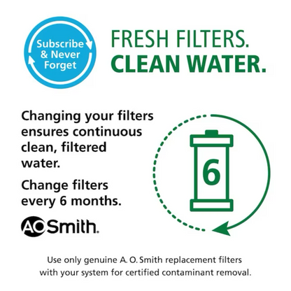 A.O. Smith Advanced Direct Connect Carbon Block Under Sink Replacement Filter -  AO-MF-ADV-R