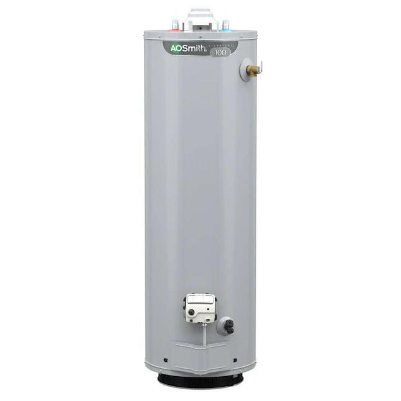 A.O. Smith  Signature 100 30-Gallon 6-year Limited 32000-BTU Natural Gas Water Heater - G6-T3032NVR