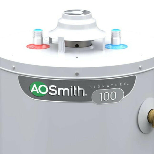 A.O. Smith  Signature 100 40-Gallon 6-year Limited 35500-BTU Natural Gas Water Heater - G6-T4035NVR