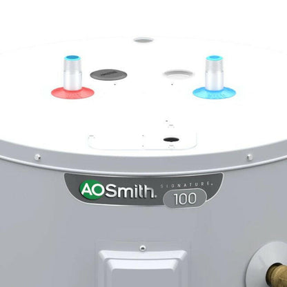 A.O. Smith  Signature 100 28-Gallon Lowboy 6-year Limited Warranty 4500-Watt Double Element Electric Water Heater - E6-30L45DVB