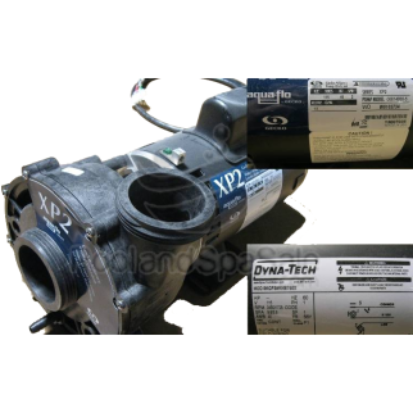 MASTER SPAS Pump 9.8 Amp, 2 Speed, 120V - X320378