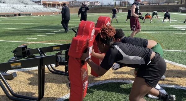 Rae Crowther Z Leverage Sled